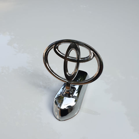 3D Car Bonnet Logo