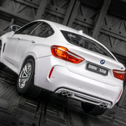BMW X6M Metal Diecast Car 1:24 (20x8 cm)